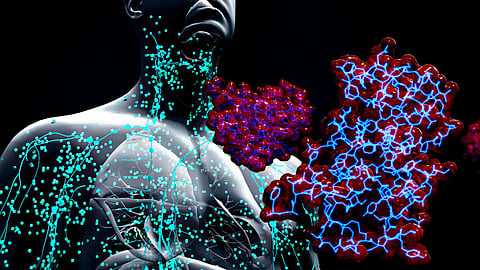 How diabetes causes the immune system’s defence against infection to malfunction