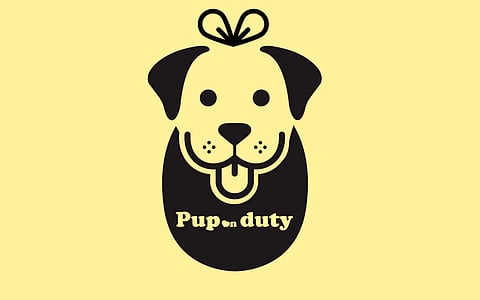 How our furry friends can keep us grounded in times of trauma and transition