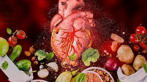 The low-fat diet is the direct cause of the epidemic of heart disease – Prof. Tim Noakes