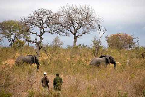 The tracking success pathway: Regain the lost trail