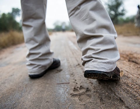 The tracking success pathway: Follow the track