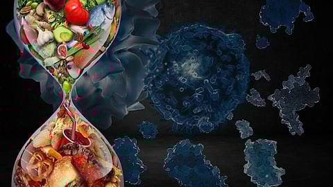 The value of nutrition is underscored again owing to its healing potential in autoimmune diseases