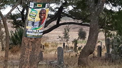 Cathy Buckle: Dancing, drunkenness, and desperation – The absurdity ahead of Zimbabwe’s national elections