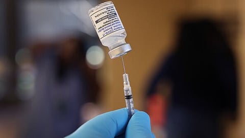 Justin Fox revisits COVID-19: We got the risk right, but the response wrong