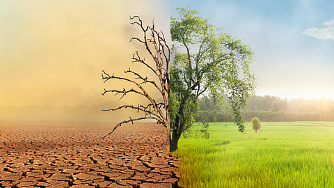 Record-breaking global heat statistics shock climate scientists