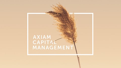 BHI Ponzi: Warriner’s mandate with registered FSP Axiam Capital was terminated in 2013