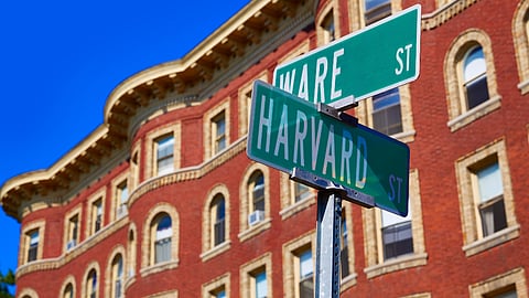 IRR, Zondo and Harvard agree: Cut BEE to keep the lights on, ignite economic growth – Gabriel Crouse