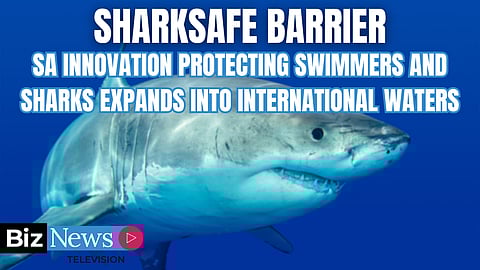 SharkSafe Barrier: SA innovation protecting swimmers and sharks expands into international waters