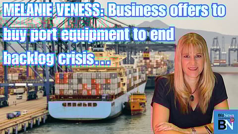 Melanie Veness: Business offers to buy port equipment to end backlog crisis