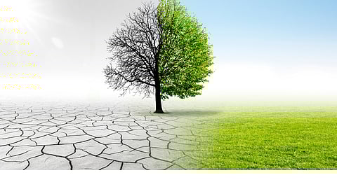 Andrew Kenny: My first AGM, at Sasol, memorable crossroads of capitalism and climate