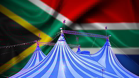 In response to Steuart Pennington: 2024 elections are a political circus of a hundred kings