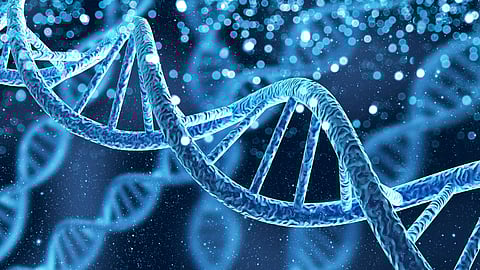 Health secrets of ancient DNA: Multiple Sclerosis risk linked to ancestral herding practices of Northern Europeans