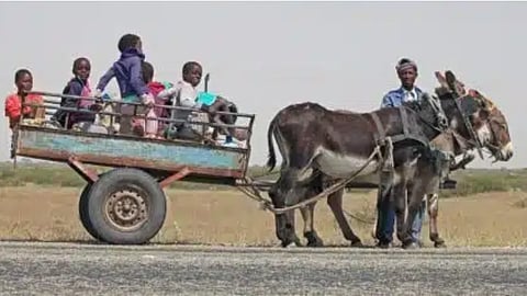 Breaking the chains: South Africa’s economic struggle goes beyond race