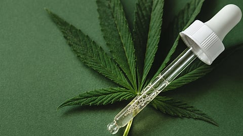 Going ‘California Sober’ may be bad for your heart: Lisa Jarvis