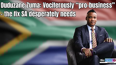 Duduzane Zuma: Vociferously “pro-business” – the fix SA desperately needs