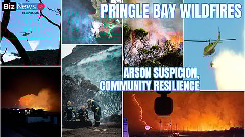 Pringle Bay wildfires: Amidst arson suspicions, community resilience mirrors fynbos – Mayor Annelie Rabie