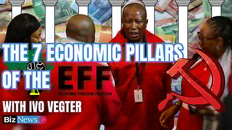 The 7 Economic Pillars of the EFF with Ivo Vegter