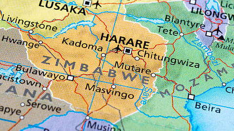 Cathy Buckle: Sikhala’s freedom, Chamisa’s exit, Zimbabwe’s unpredictable February