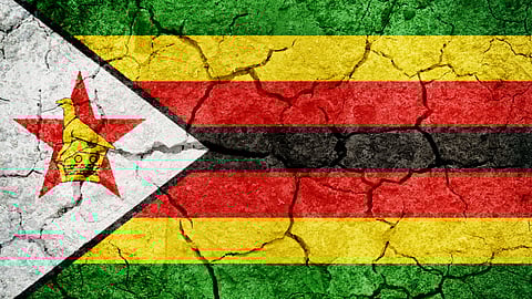 Cathy Buckle: Zimbabwe’s farmers defy drought and sanctions, harvest hope amidst hardship