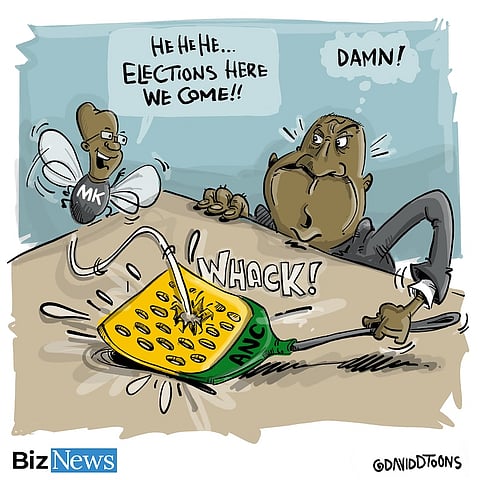 Jacob Zuma wins court battle, cleared to run in May 2024 election