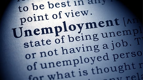 How poor governance has caused SA’s unemployment crisis: Ann Bernstein