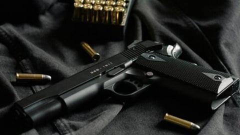 High Court orders SAPS to disclose firearms destruction records amid safety concerns