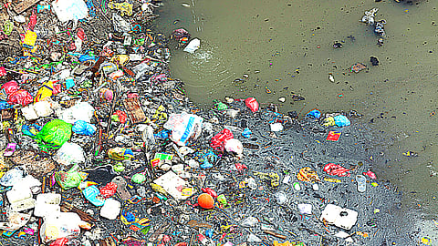 Petition to save PMB economy from sewage and trash