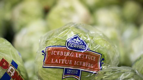 Iceberg lettuce’s revival has wilted: A salad story – Justin Fox