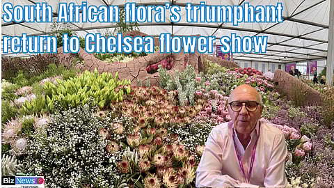 South African flora’s triumphant return to Chelsea flower show – Keith Kirsten