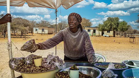 Cathy Buckle: Zimbabwe’s food crisis deepens, 9M in need of aid