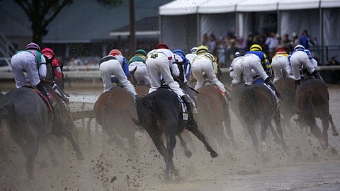 From unicorns to thoroughbreds: Rethinking startup success – Parmy Olson