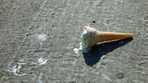 Failure doesn’t breed success — except when it does: F.D. Flam