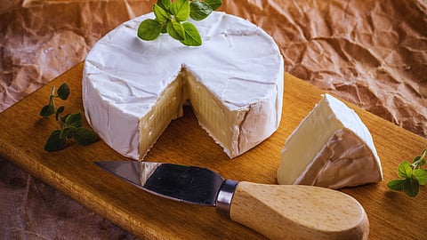 Camembert crisis: A wake-up call to the fragility of our food supply