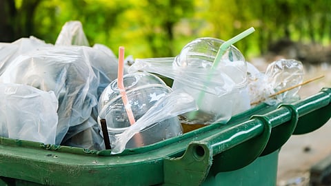 Why SA should not ban single-use plastics: Ivo Vegter