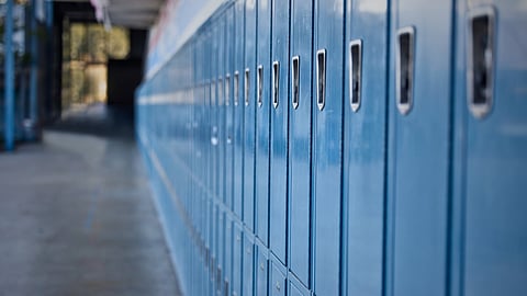 School Capture: Gauteng Education Department mishandles yet another “racism” debacle – Richard Wilkinson