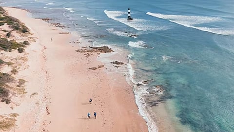 Why SA has banned drone fishing: Environmental concerns, shark safety and fishing fairness