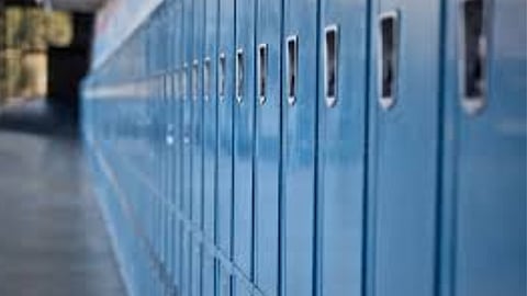 Gauteng Education Department: Deceit, delusion and dishonesty – Richard Wilkinson