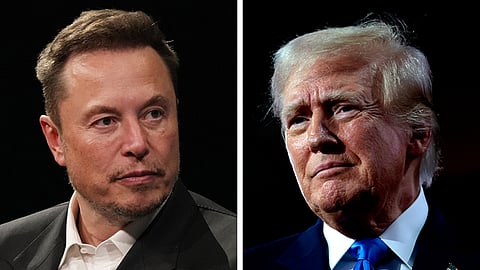 Trump eyes Elon Musk for cabinet or cost-cutting role