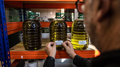 Your olive oil might be unfit for human consumption: Lara Williams