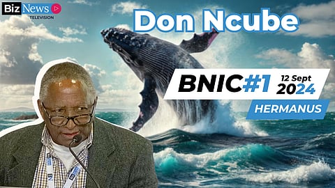 BNIC#1 Don Ncube: SA’s gas treasure, a game-changer for energy and the economy