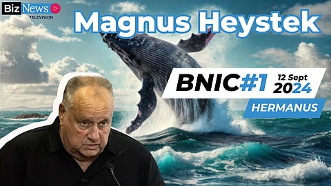 BNIC#1 Magnus Heystek: Foreign investment in SA and undiscovered opportunities in Japan and India