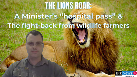 The Lions Roar: A Minister’s “hospital pass” and the fight-back from wildlife farmers