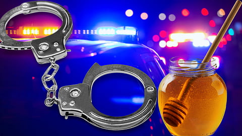 From honey trap to murder… true tales of a Task Force sting