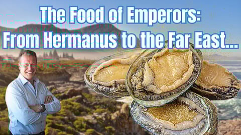 The food of emperors: From Hermanus to the Far East…
