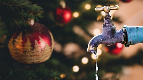 Cathy Buckle: Bringing hope and water, a Christmas story from Zimbabwe