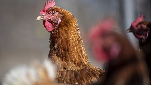 Stock market’s inflation vibe gets another nasty surprise: Jonathan Levin