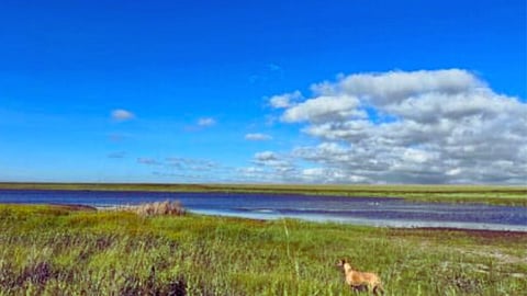 Viv Vermaak: EWC – Don’t panic! (But if you have to, do it like this)