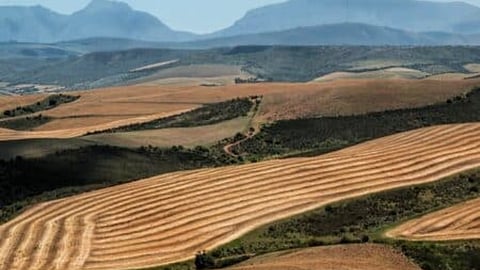 Expropriation Act: Why its critics are right to be concerned