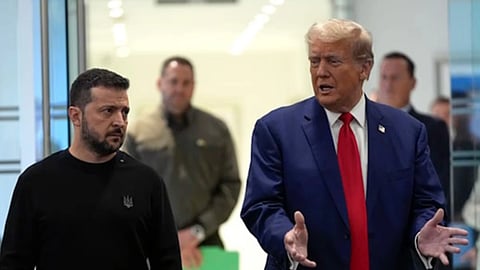 The Trump-Zelensky showdown – Brenthurst Foundation