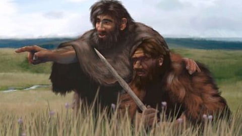 Neanderthals, homo sapiens, and a needless racial row – Andrew Kenny
